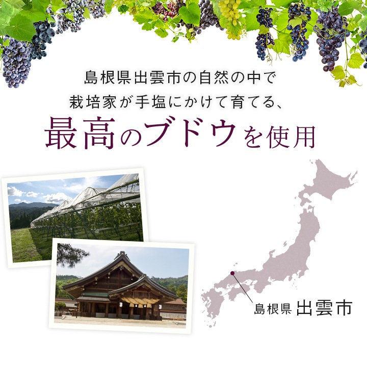 島根ワイナリー ぶどうジュース3本詰合せ