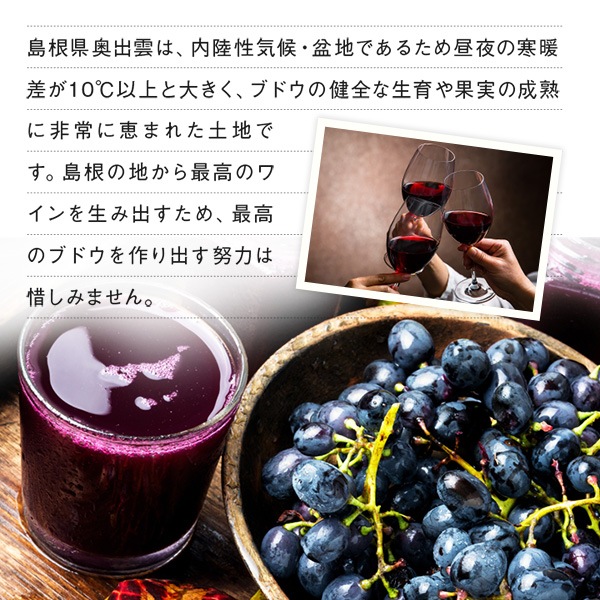 島根ワイナリー ぶどうジュース2種 （SW-J2D）ギフト