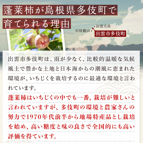 多伎いちじくゼリー(90g×9個)