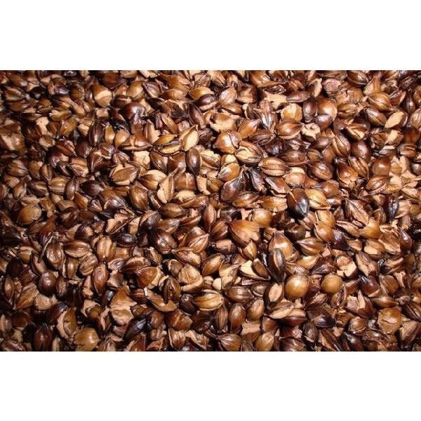 麦茶 国産 斐川町産むぎ茶 1kg(煮出し専用) 桃翆園 お茶