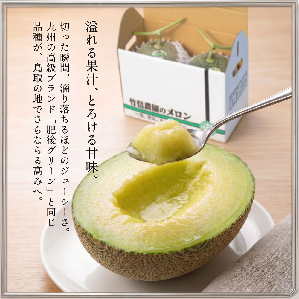 ギフト 予約｜特大ペルルメロン2玉(計4kg) 糖度15度以上 竹信農園 産直