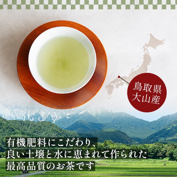 井上青輝園 お茶 ほうじ茶ティーバッグ 大山棒茶 「2g×10個入