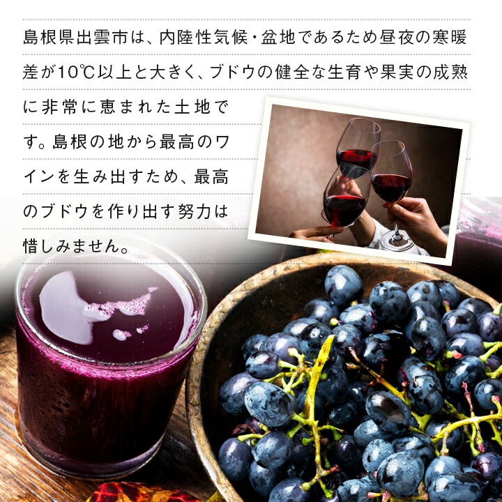 ぶどうジュース 100パーセント ストレート ぶどうジュース