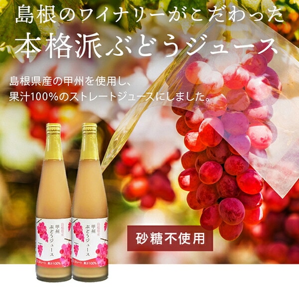ぶどうジュース 100パーセント ストレート ぶどうジュース 甲州 500ml