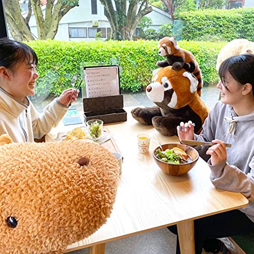 再入荷!!  【特大ぬいぐるみ】 伊豆シャボテン動物公園 オリジナル BIGサイズぬいぐるみ レッサーパンダ （全長155cm）