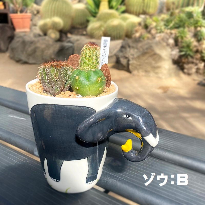 伊豆シャボテン動物公園 サボテン 多肉植物 寄せ植え おしゃれ 動物マグカップ入り サボテン 多肉植物 伊豆シャボテン本舗 公式オンラインショップ