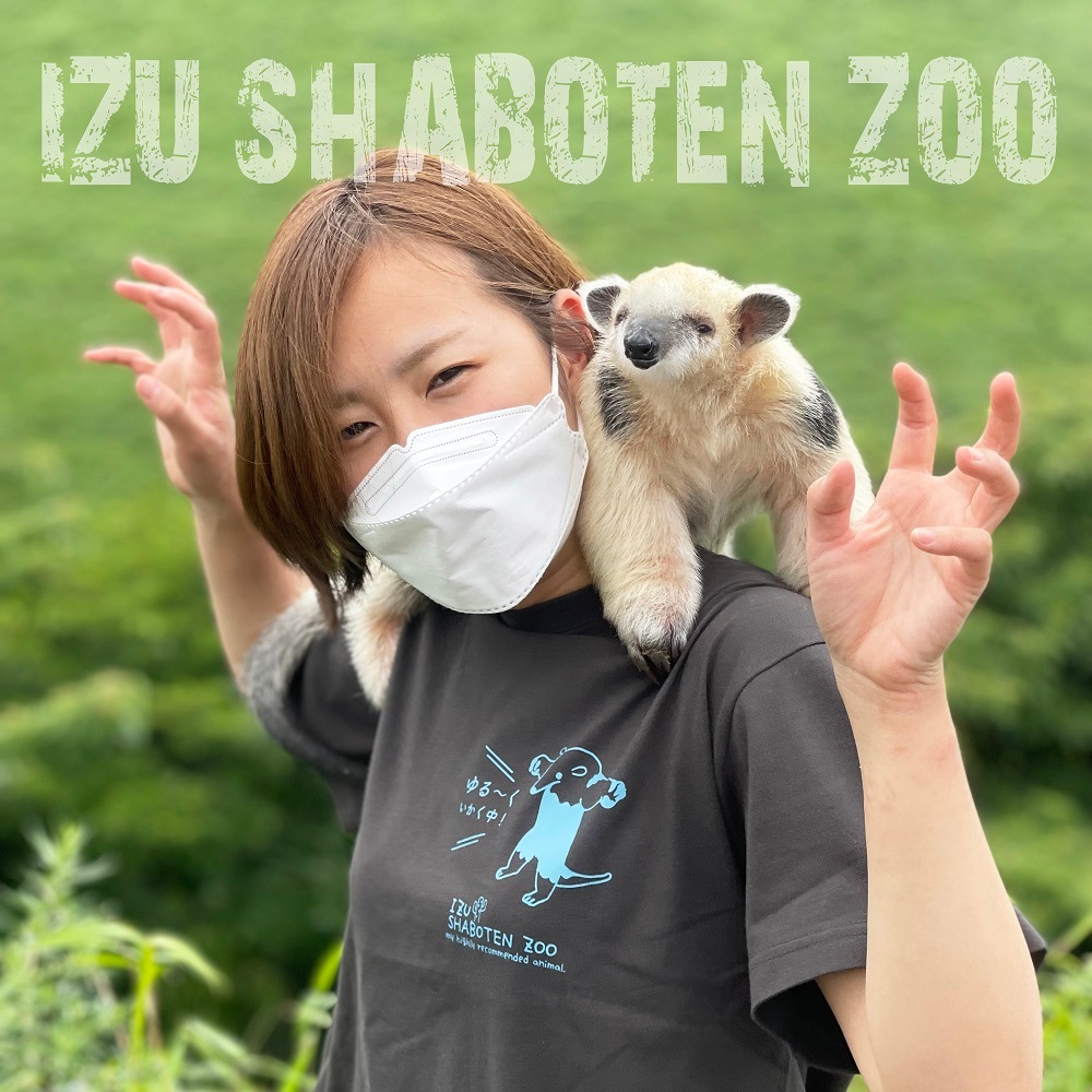 アリクイ 公式サイト先行販売 Sns担当スタッフ着用で話題のアリクイ オリジナルtシャツ 威嚇ポーズ アニマル 伊豆シャボテン本舗 公式オンラインショップ