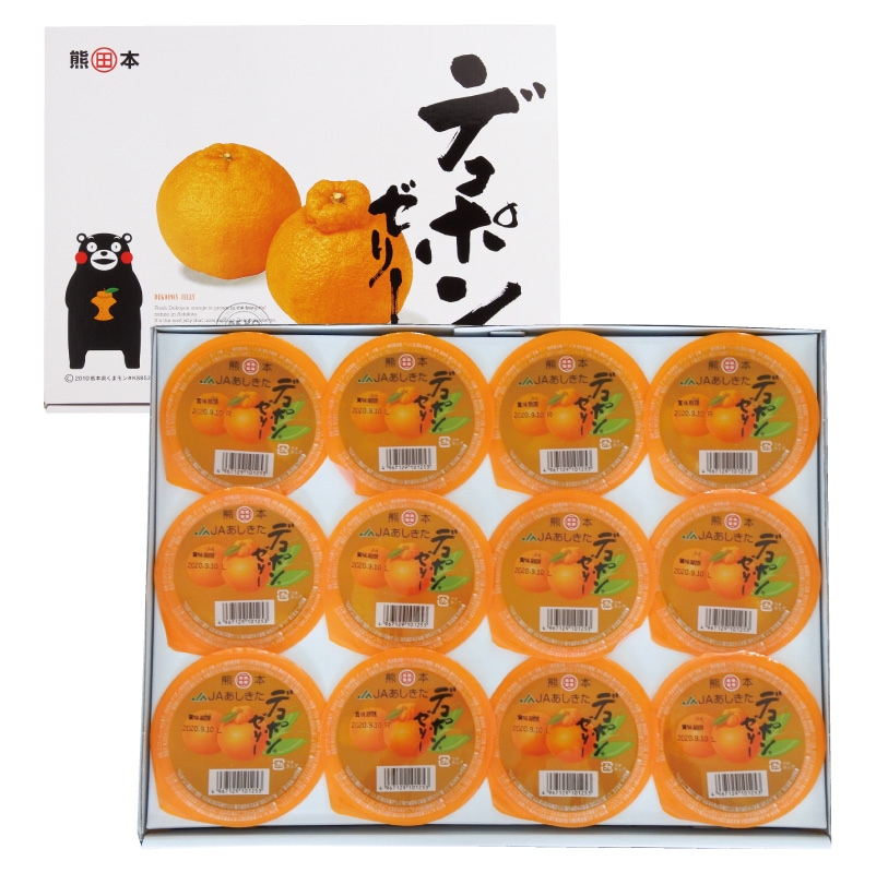 デコポン缶詰　24缶　あしきた農業　熊本県産デコポン　シラップづけ デコポン缶詰 24缶 あしきた農業 熊本県産デコポン シラップづけ