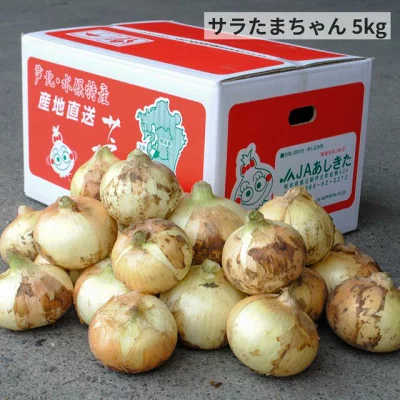 たまちゃん　白子筍5キロ箱込み 切り玉 サラたまちゃん 5kg | すべての商品 | JAあしきたオンライン