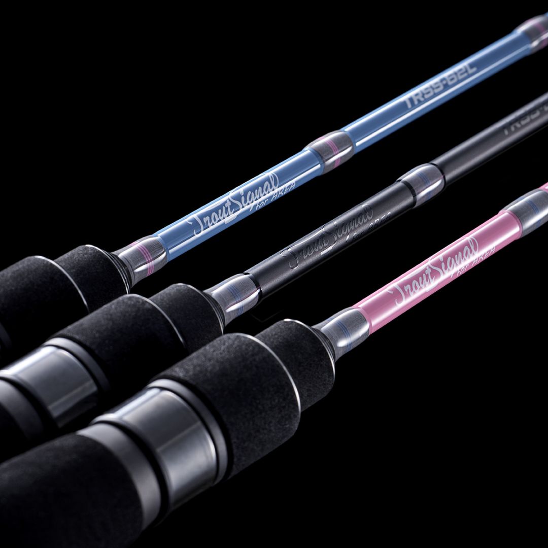 New Products | Jackson