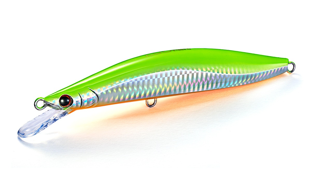 ピンテールチューン+ 170SVG | Salt | Jackson