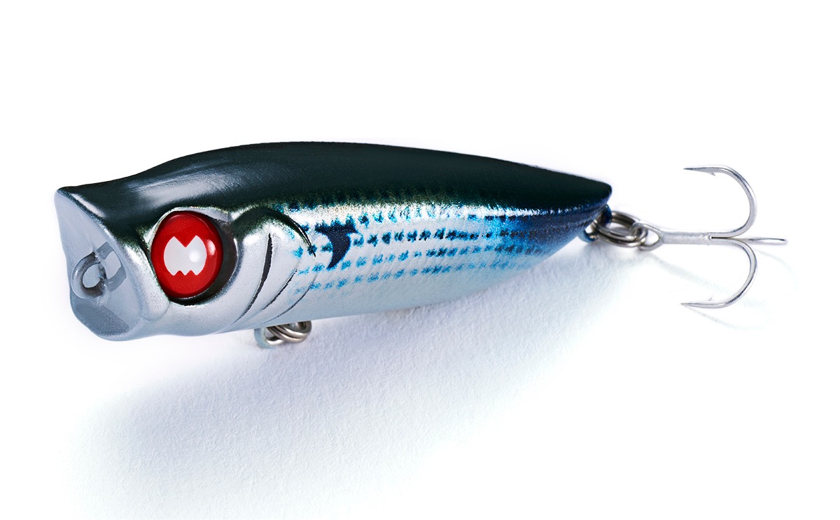 Py ポッパー | Salt | Jackson