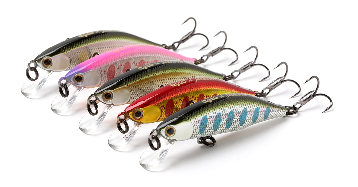 メテオーラ 45 | Trout | Jackson
