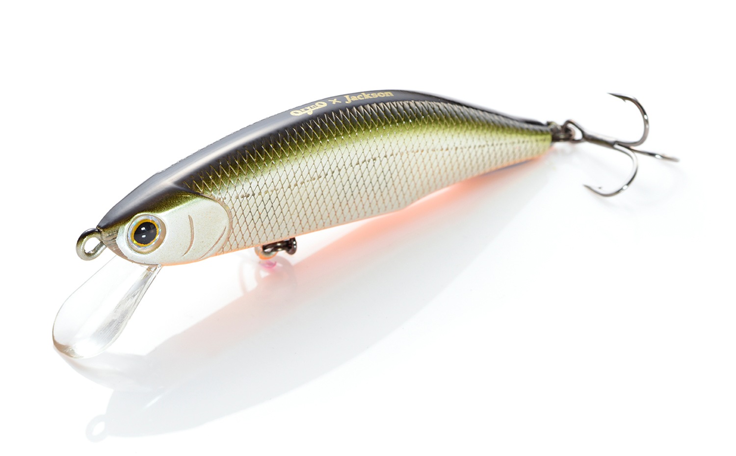 8_000000000175.jpg?1752125741