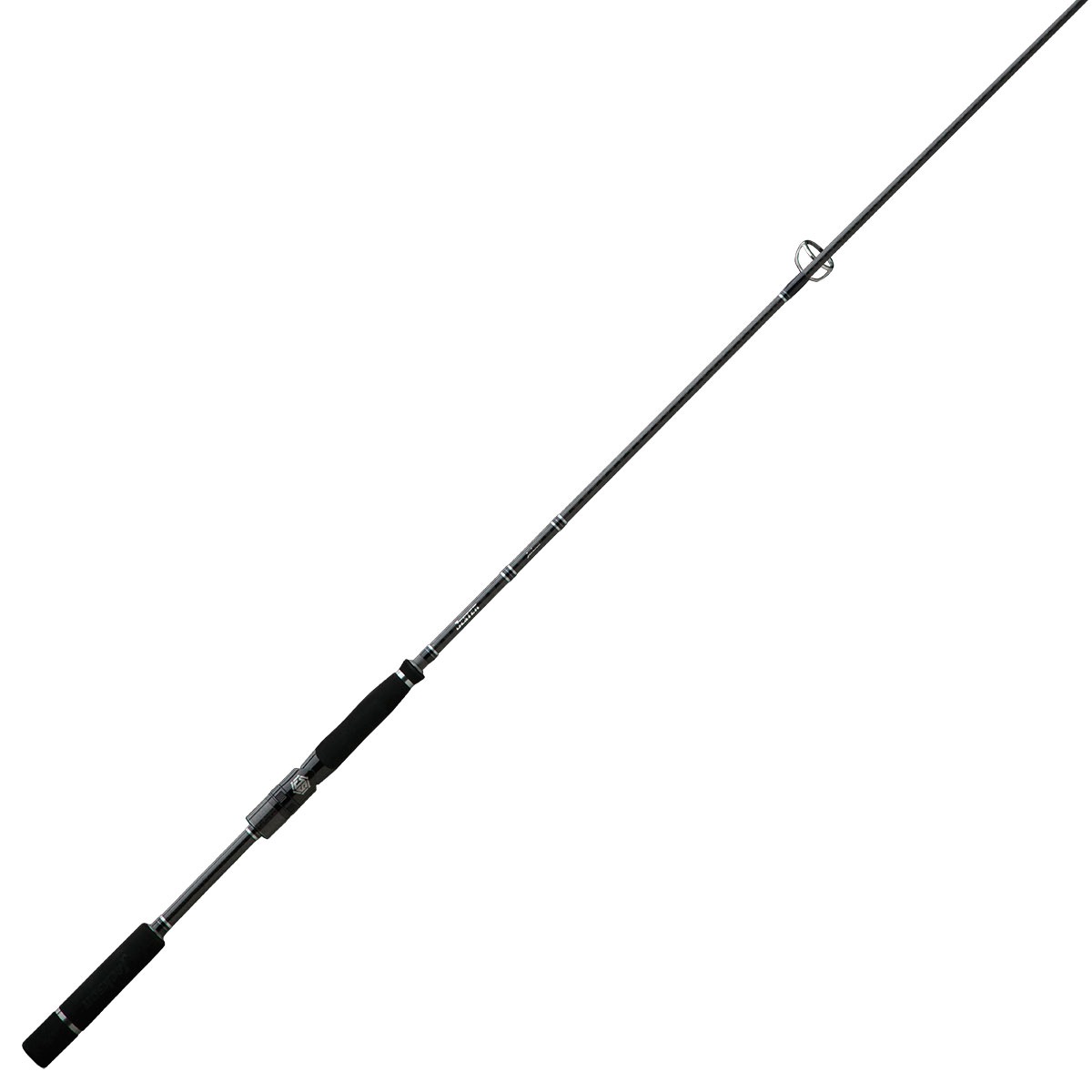 ジェスター | Salt | Jackson