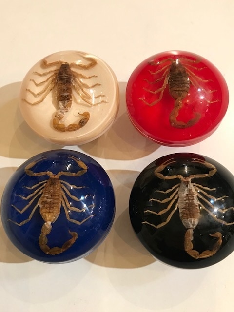 京商　SCORPION オリジナル（ジャンク） OLD IS NEW AGAIN: 京商 オリジナルスコーピオン タボスコボディ