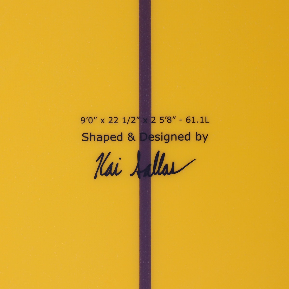 サンダーボルトテクノロジー サーフボード ロングボード マンゴー