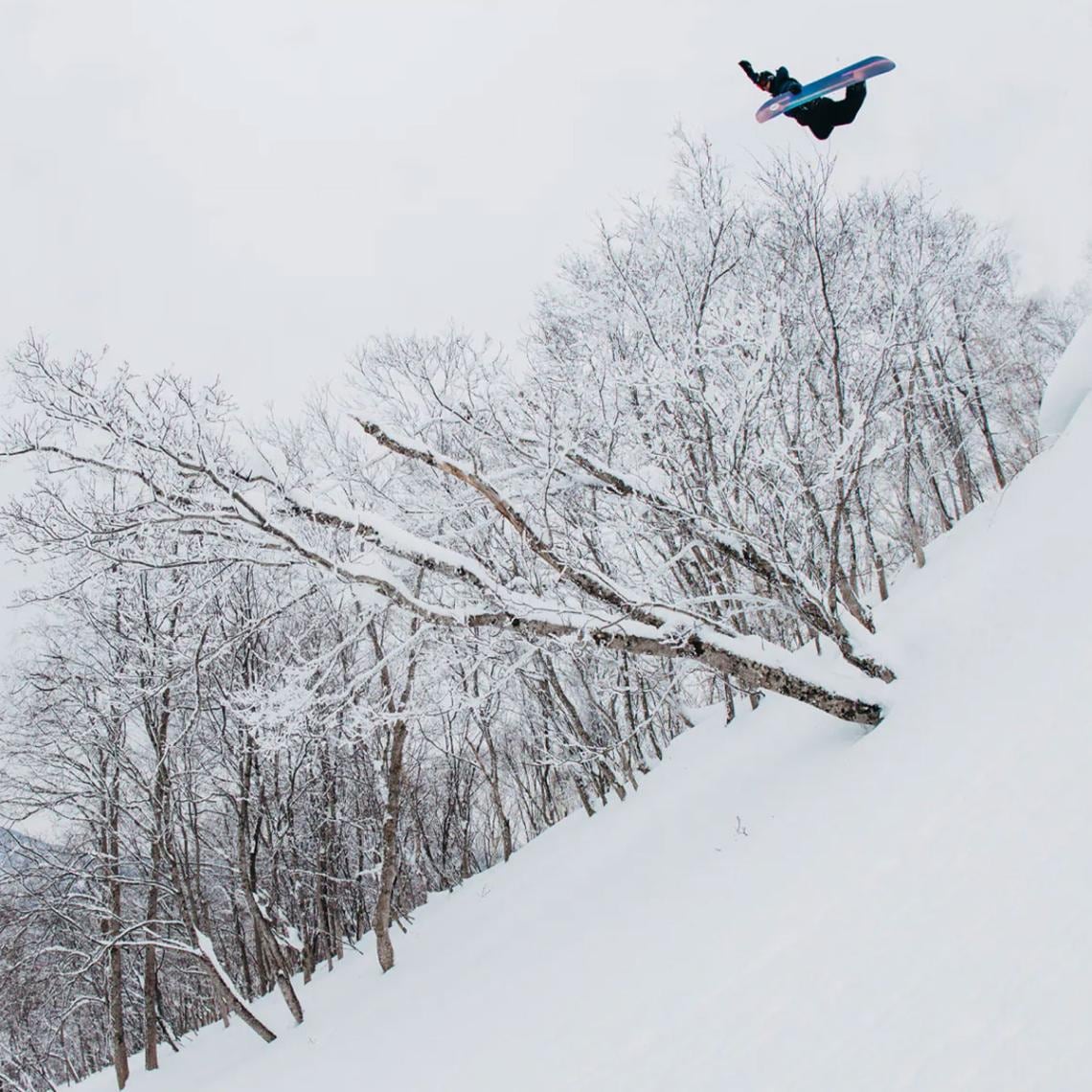 Burton ファミリーツリー ハイフィデリティー キャンバー 154cm Burton Family Tree High Fidelity Camber Snowboard | Burton