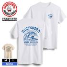 �ڿ��ե������BIRDWELL �С��ɥ����� ��� Ⱦµ T����� �Хå��ץ��� ������ơ����� ��2�� M L �͵��֥��� ���� 2025 ���� | SURFIN BIRDIE TSHIRT��1TS1-0031��