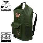 ROXY  | NEED IT��ERJBP04888��