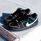 NIKE SB | Bronx Girls Skate �� DUNK LOW PRO QS 