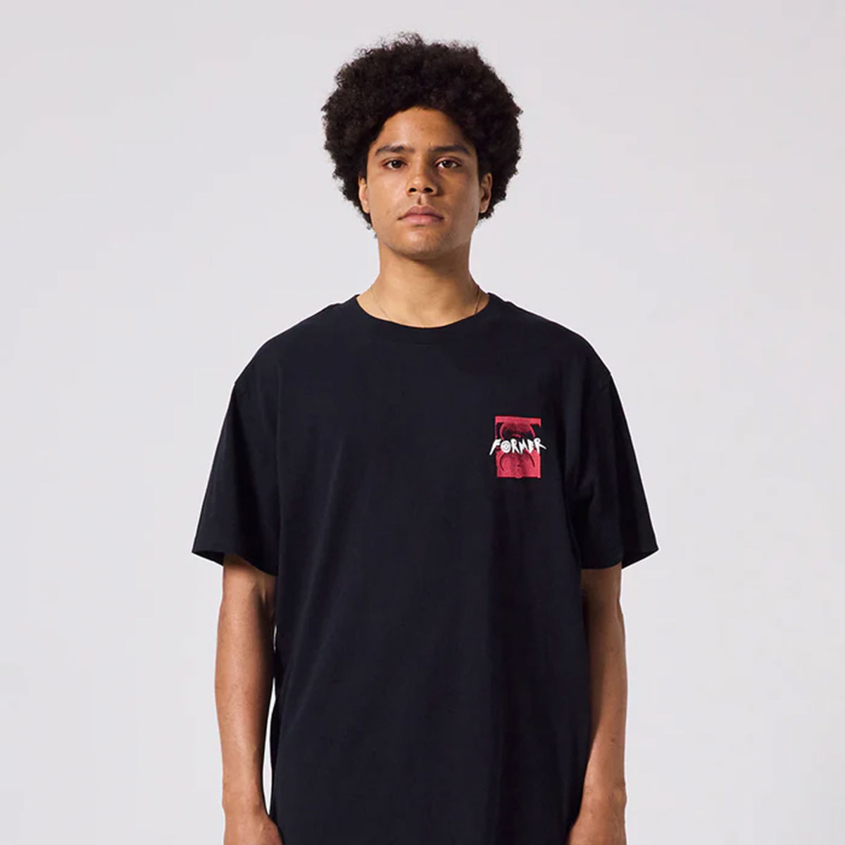 ��20%OFF ���ꥹ�ޥ�������ۥե����ޡ� ��� ȾµT����� �ɥ����� �����T �ȥåץ� ���� �Хå��ץ��� M L �����ե��� �����ȥɥ� �͵� �֥��� FORMER ���� 2025 �����FTE-25204��