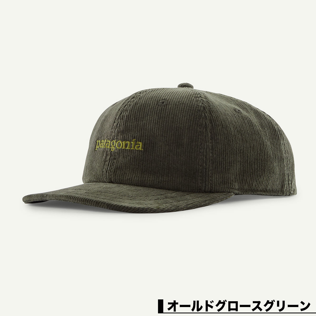 Patagonia ѥ˥ å ˹  ǥ   ǥ å ե  ȥɥ  4  ͵ ֥   2025 | Corduroy Cap33535  