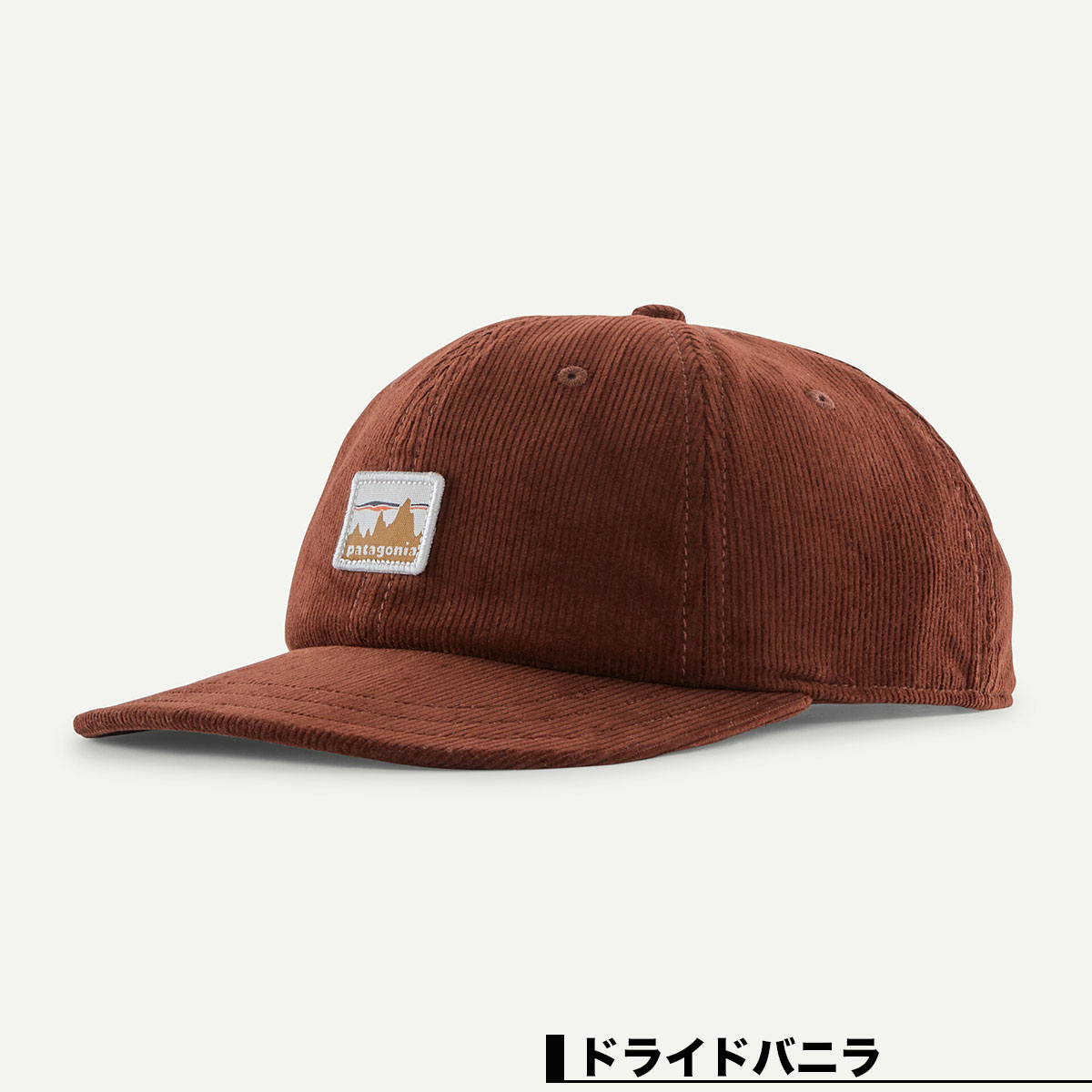 Patagonia ѥ˥ å ˹  ǥ   ǥ å ե  ȥɥ  4  ͵ ֥   2025 | Corduroy Cap33535  