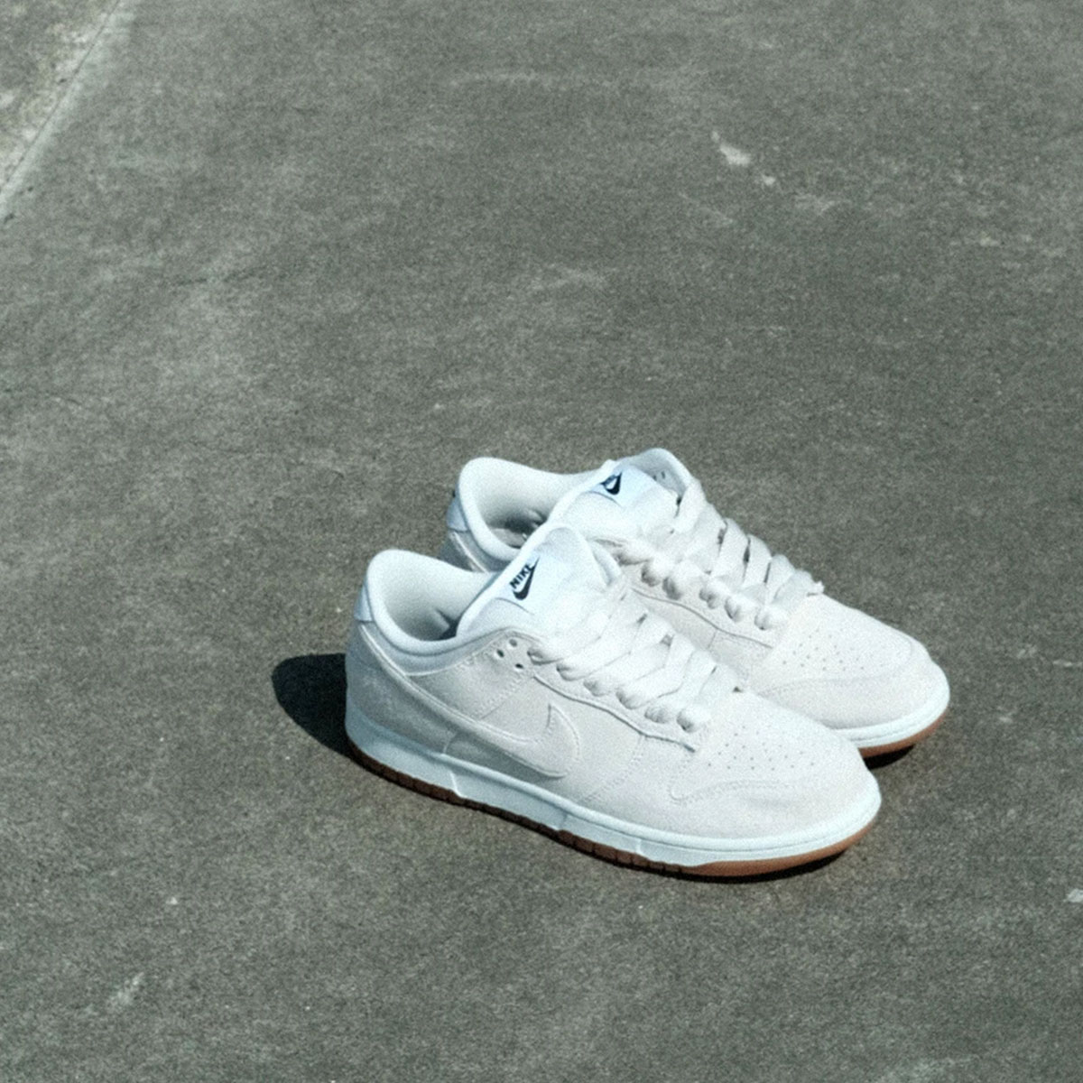 NIKE SB �ʥ��������ӡ� �ʥ���sb ���󥯥��� �ץ� �ӡ� Pro B �������ȥܡ��� �����ܡ� �������塼 �������å� nikesb ���ˡ����� �� �͵� �֥��� | DUNK LOW PRO B "Pale Ivory"��HJ0367-100��(JACK����������)