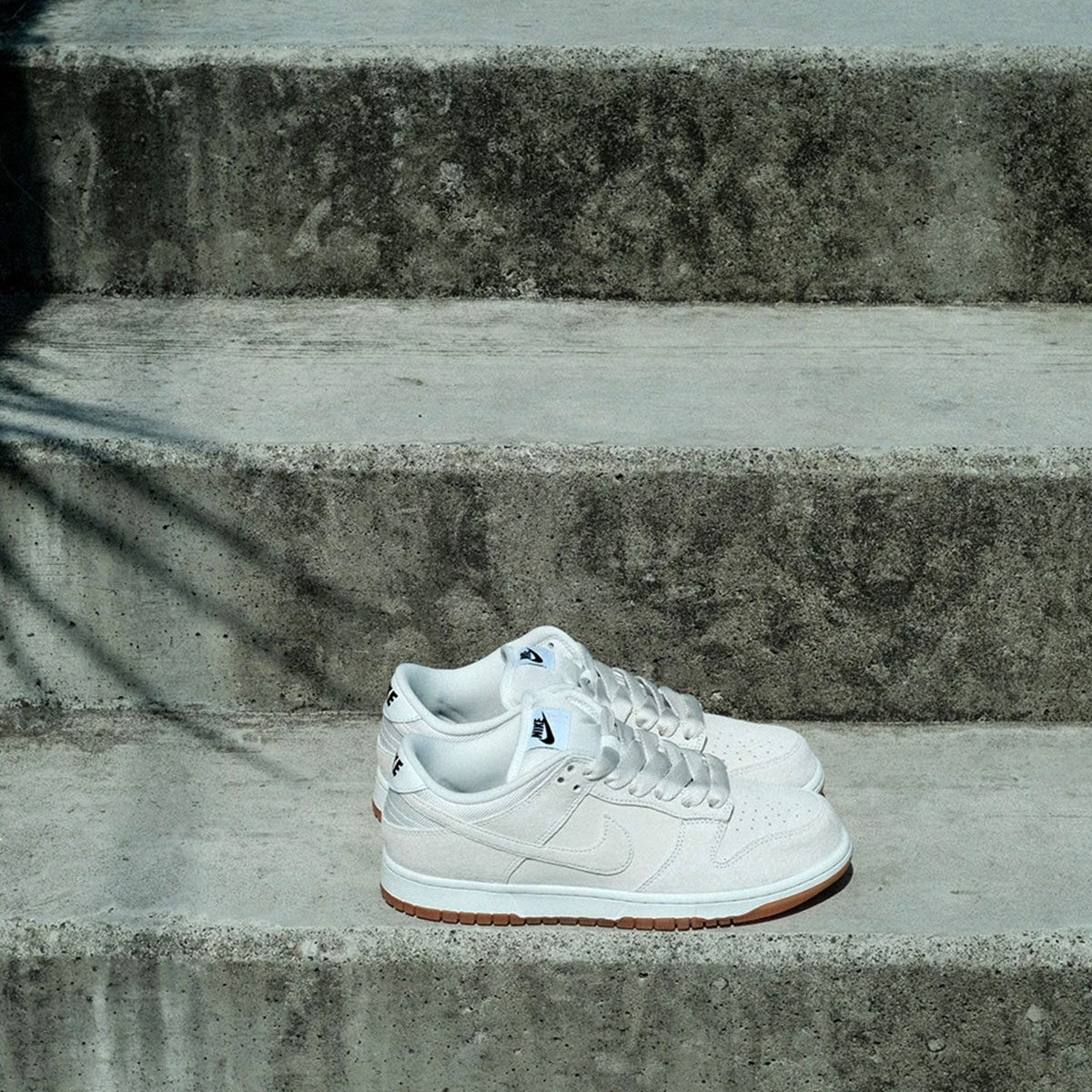 NIKE SB �ʥ��������ӡ� �ʥ���sb ���󥯥��� �ץ� �ӡ� Pro B �������ȥܡ��� �����ܡ� �������塼 �������å� nikesb ���ˡ����� �� �͵� �֥��� | DUNK LOW PRO B "Pale Ivory"��HJ0367-100��(JACK����������)