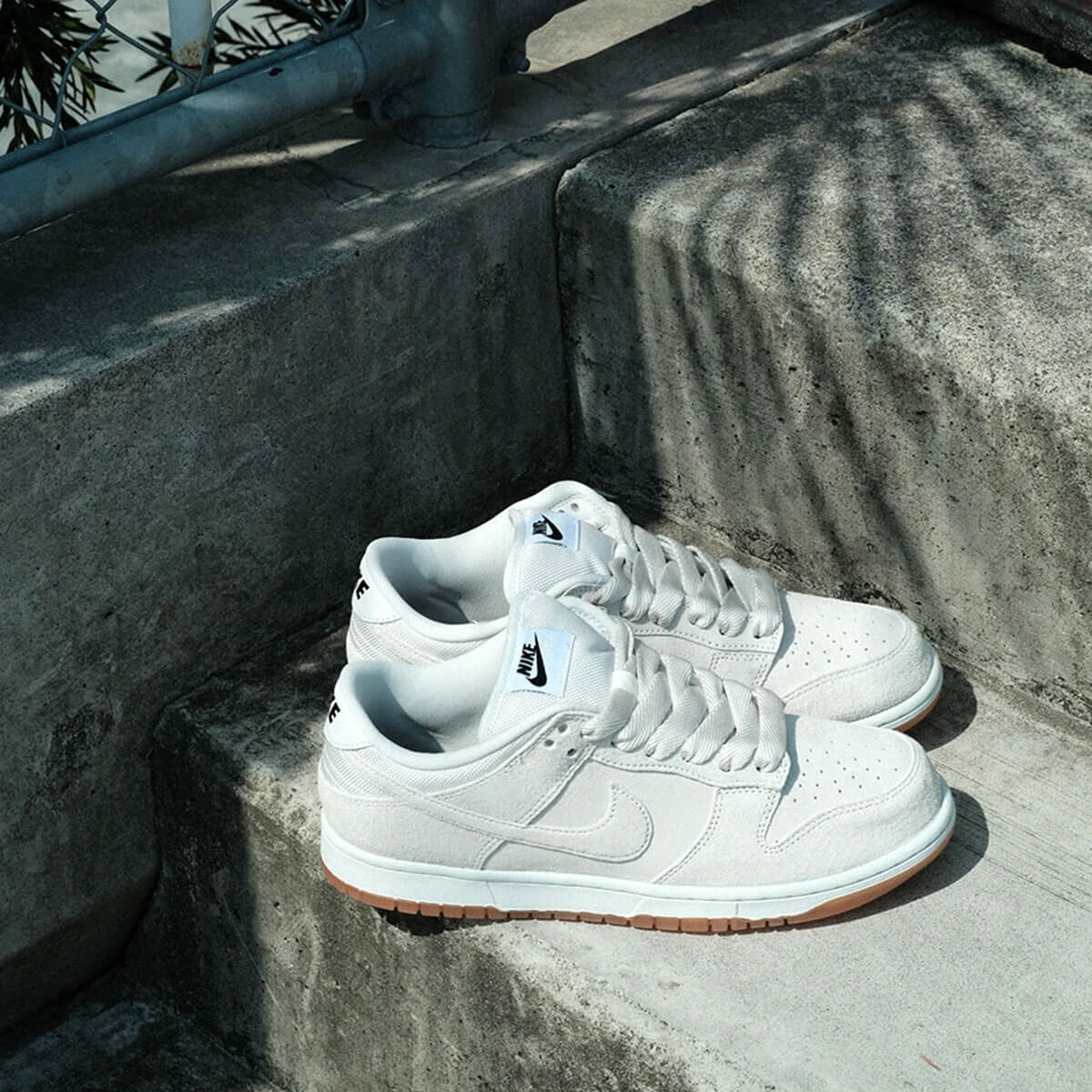 NIKE SB �ʥ��������ӡ� �ʥ���sb ���󥯥��� �ץ� �ӡ� Pro B �������ȥܡ��� �����ܡ� �������塼 �������å� nikesb ���ˡ����� �� �͵� �֥��� | DUNK LOW PRO B "Pale Ivory"��HJ0367-100��(JACK����������)