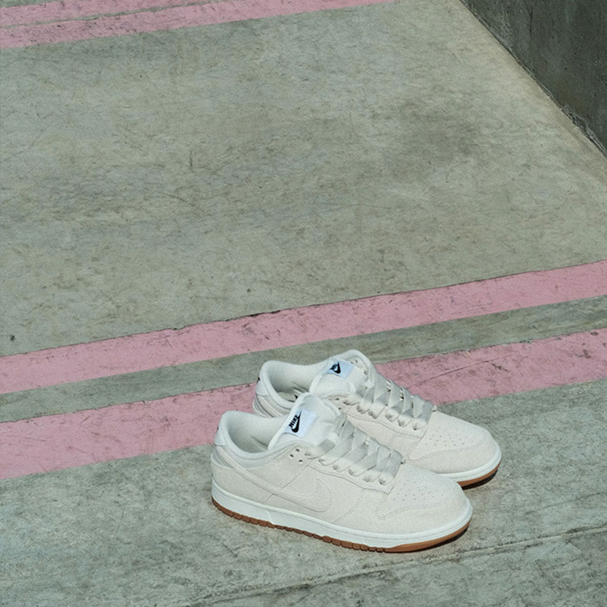 NIKE SB �ʥ��������ӡ� �ʥ���sb ���󥯥��� �ץ� �ӡ� Pro B �������ȥܡ��� �����ܡ� �������塼 �������å� nikesb ���ˡ����� �� �͵� �֥��� | DUNK LOW PRO B "Pale Ivory"��HJ0367-100��(JACK����������)