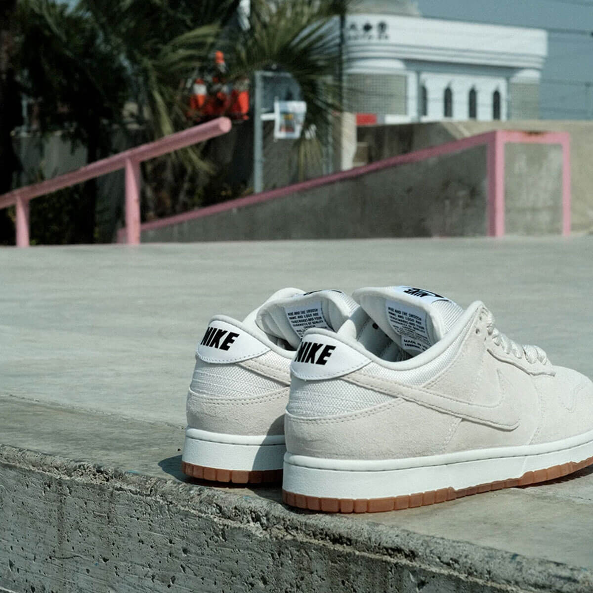NIKE SB �ʥ��������ӡ� �ʥ���sb ���󥯥��� �ץ� �ӡ� Pro B �������ȥܡ��� �����ܡ� �������塼 �������å� nikesb ���ˡ����� �� �͵� �֥��� | DUNK LOW PRO B "Pale Ivory"��HJ0367-100��(JACK����������)