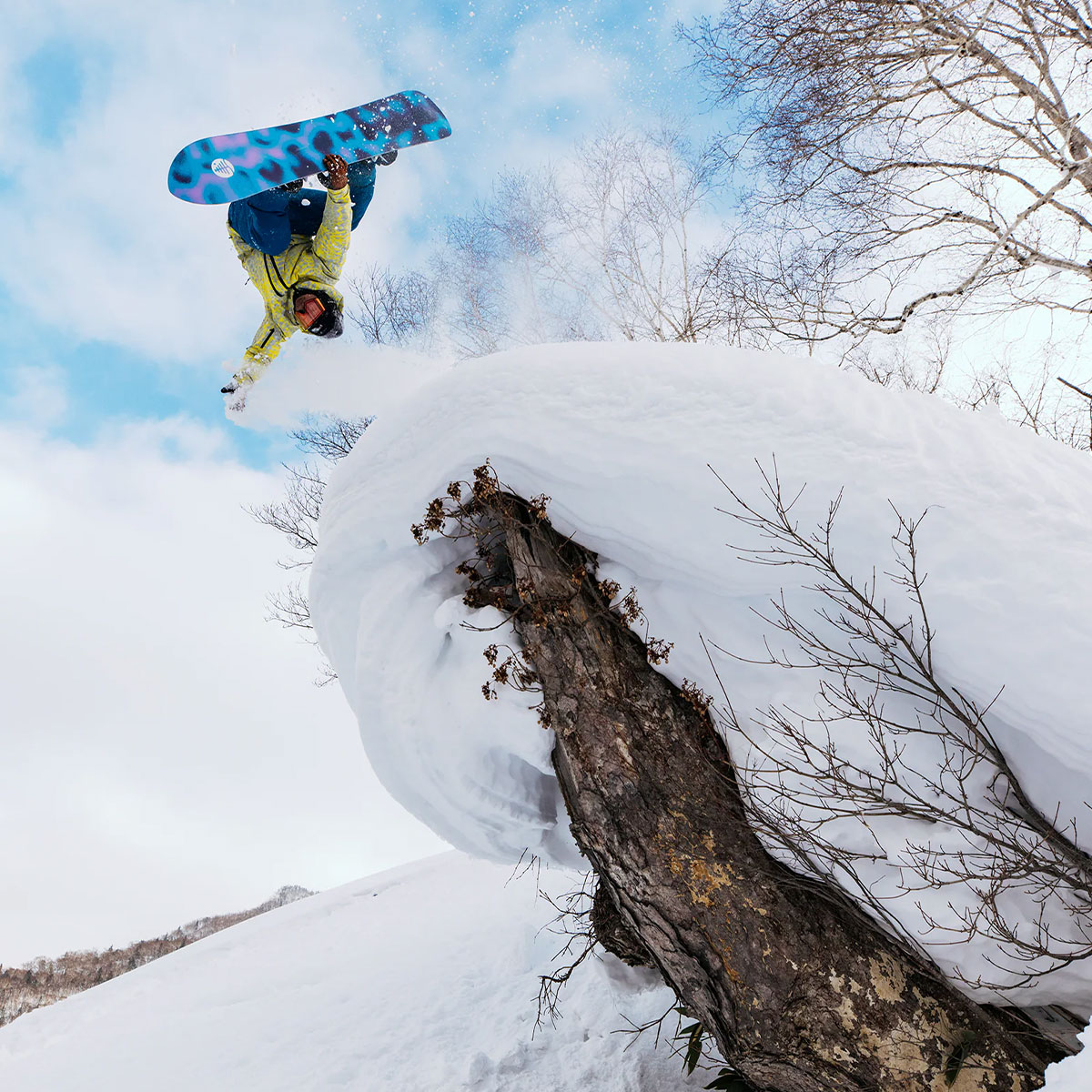 �ڥ��Ρ��������BURTON �С��ȥ� ���Ρ��ܡ��� �� �ե��ߥ꡼�ĥ꡼ �����å������ƥ����� �����С� 155cm ���Υܡ� �͵� �֥��� ���� | Family Tree Sketch Artist Camber��W26JP-302901��