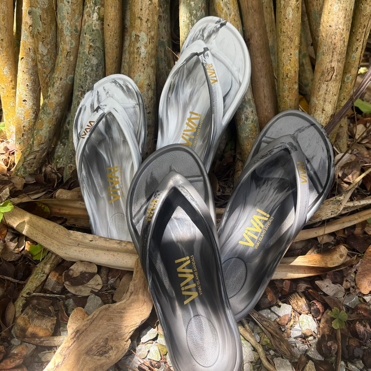 VIVA ISLAND  |  JAPAN FLIP FLOP 2026 LIMITED EDITION��V-821203��