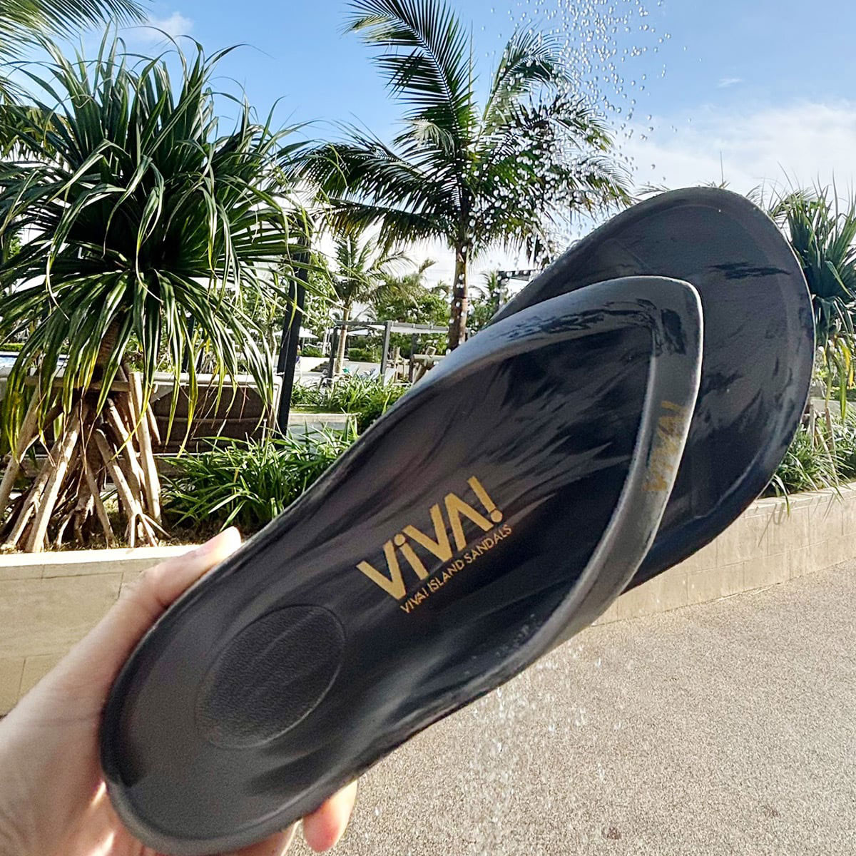 VIVA ISLAND  |  JAPAN FLIP FLOP 2026 LIMITED EDITION��V-821203��