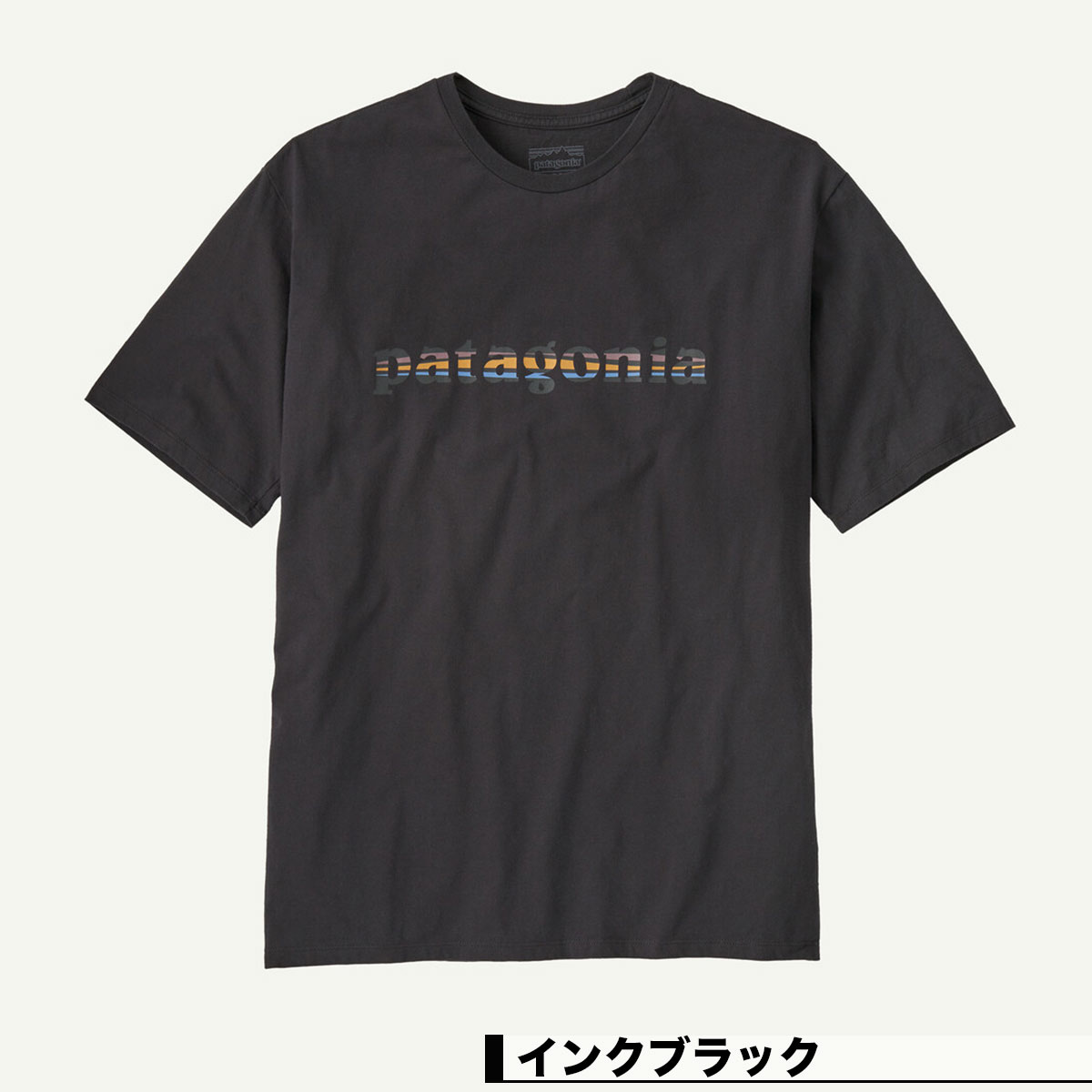 ��20%OFF ���ꥹ�ޥ�������ۥѥ����˥� Patagonia ��� ȾµT����� �ȥåץ� ���� ����ץ� ��3�� S M �����ե��� ��� �����ȥɥ� ������ �͵� �֥��� | Men's '73 Text Logo Organic T-Shirt��37776��  