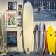 ��Ź�޼�����꾦�ʡۡ�USED BOARD�� THC SURFBOARD | Joel Tudor��used491��(JACK����������)