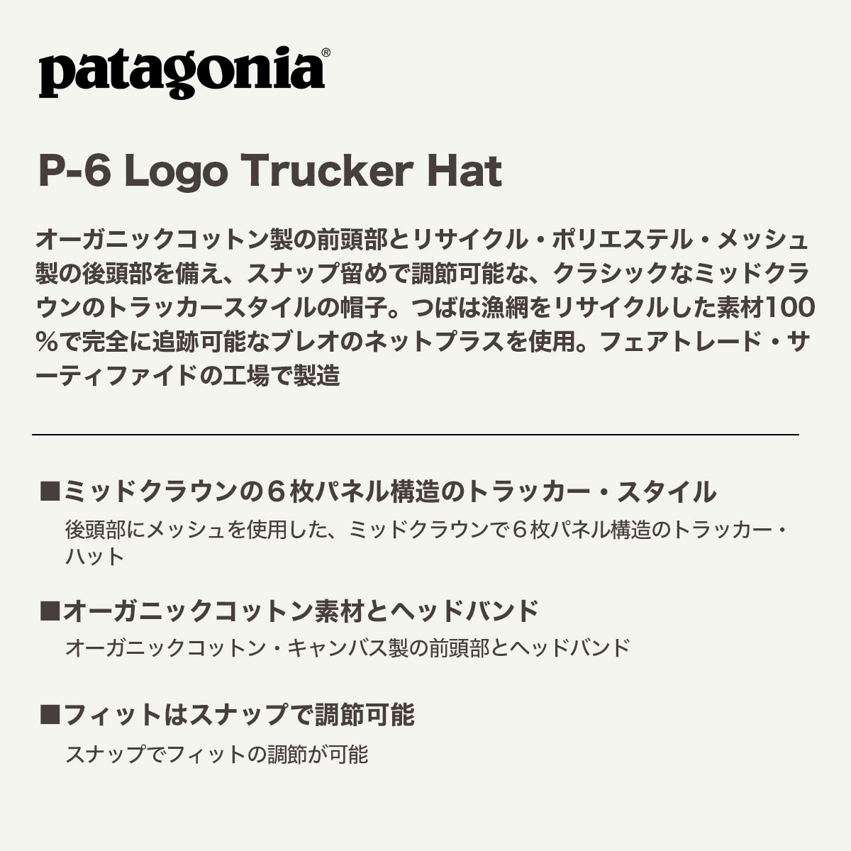Patagonia  | P-6 Logo Trucker Hat��38289��