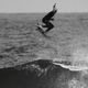 Creatures of Leisure  | PROTO1.4 PIN TAIL��1100226200006��