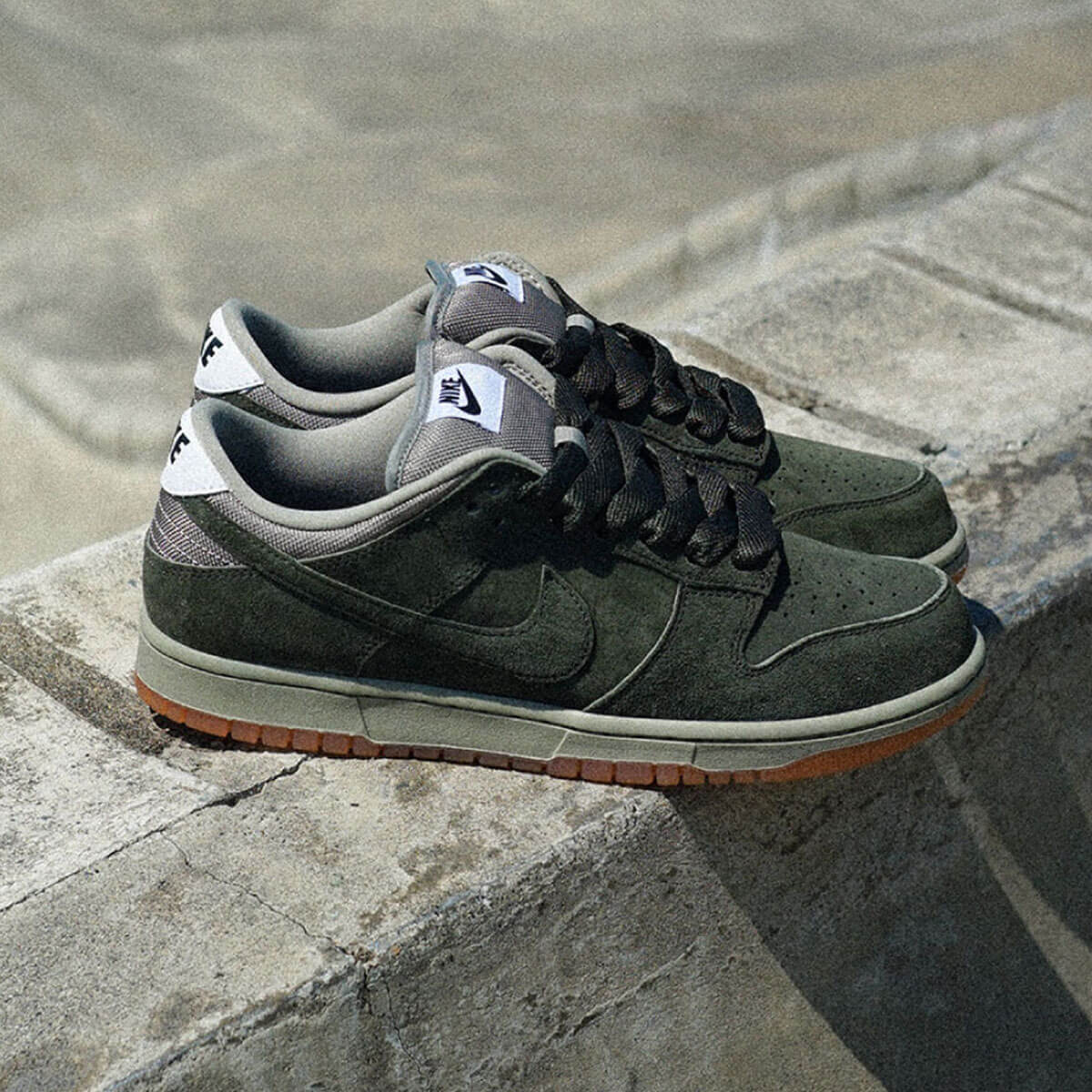ڤ1¤NIKE SB ʥӡ 󥯥 ץ ӡ  ȥܡ ܡ 塼 å ˡ  ͵ ֥ | NIKE SB DUNK LOW PRO B "Sequoia"HJ0367-100(JACK)