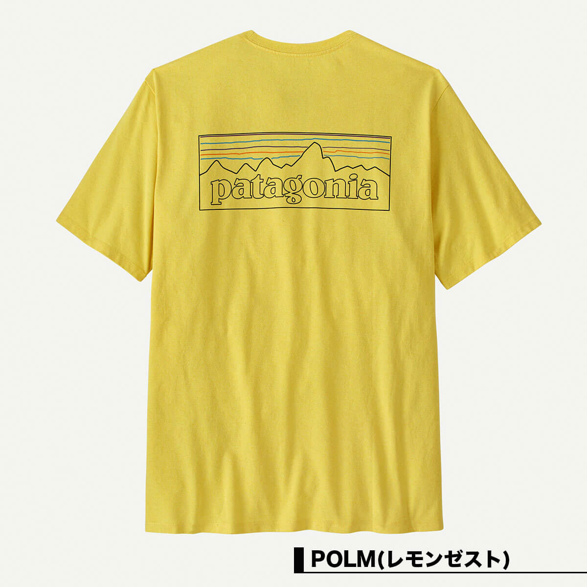 Patagonia | P-6 Logo Responsibill Tee T-Shirt��38504��