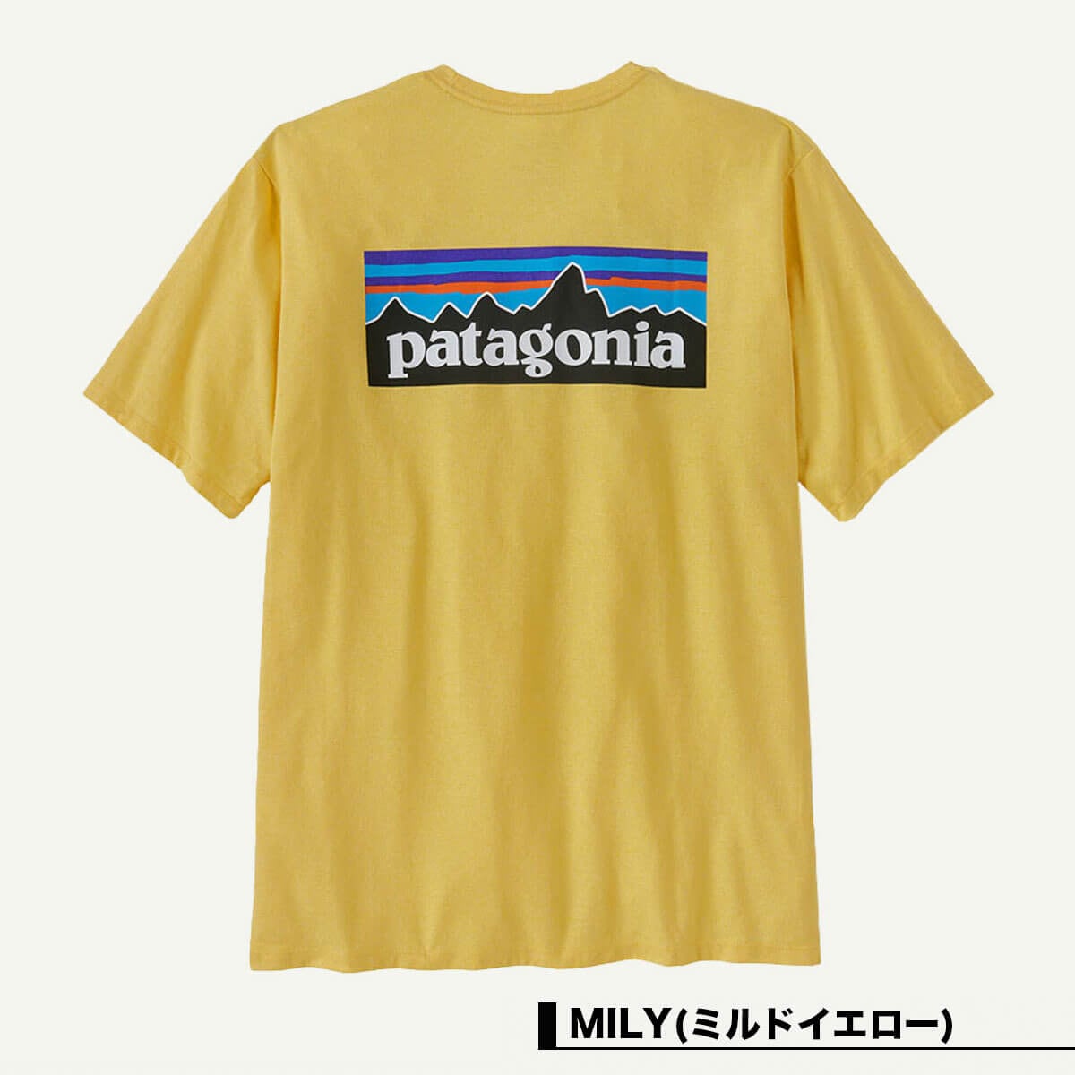 Patagonia | P-6 Logo Responsibill Tee T-Shirt��38504��
