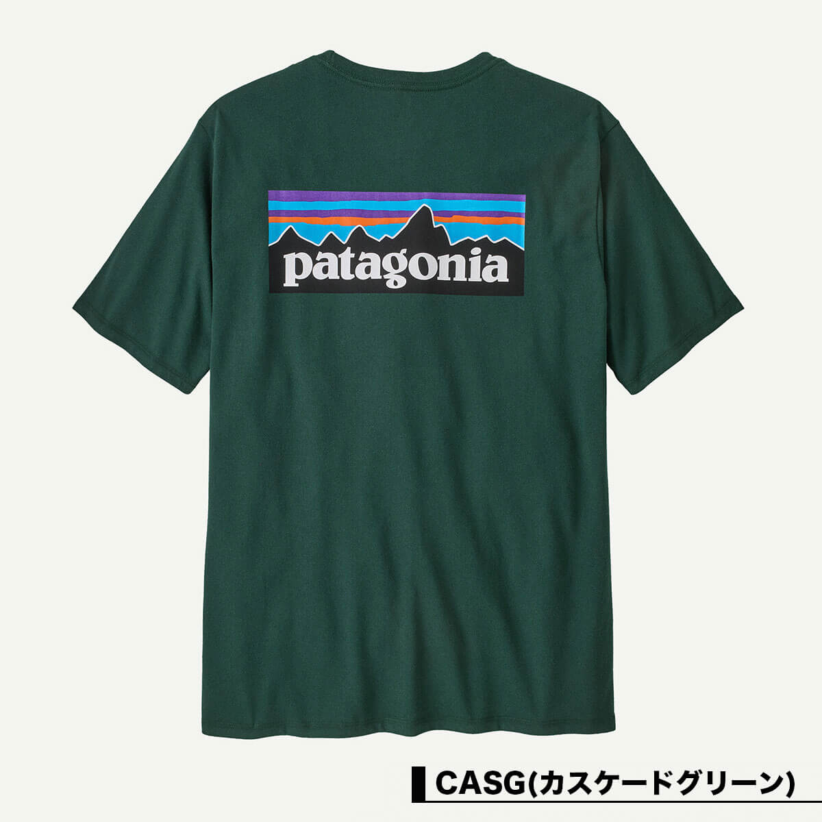 Patagonia | P-6 Logo Responsibill Tee T-Shirt��38504��