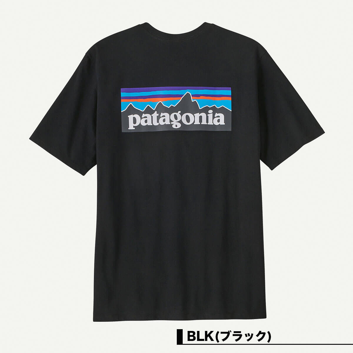 Patagonia | P-6 Logo Responsibill Tee T-Shirt��38504��