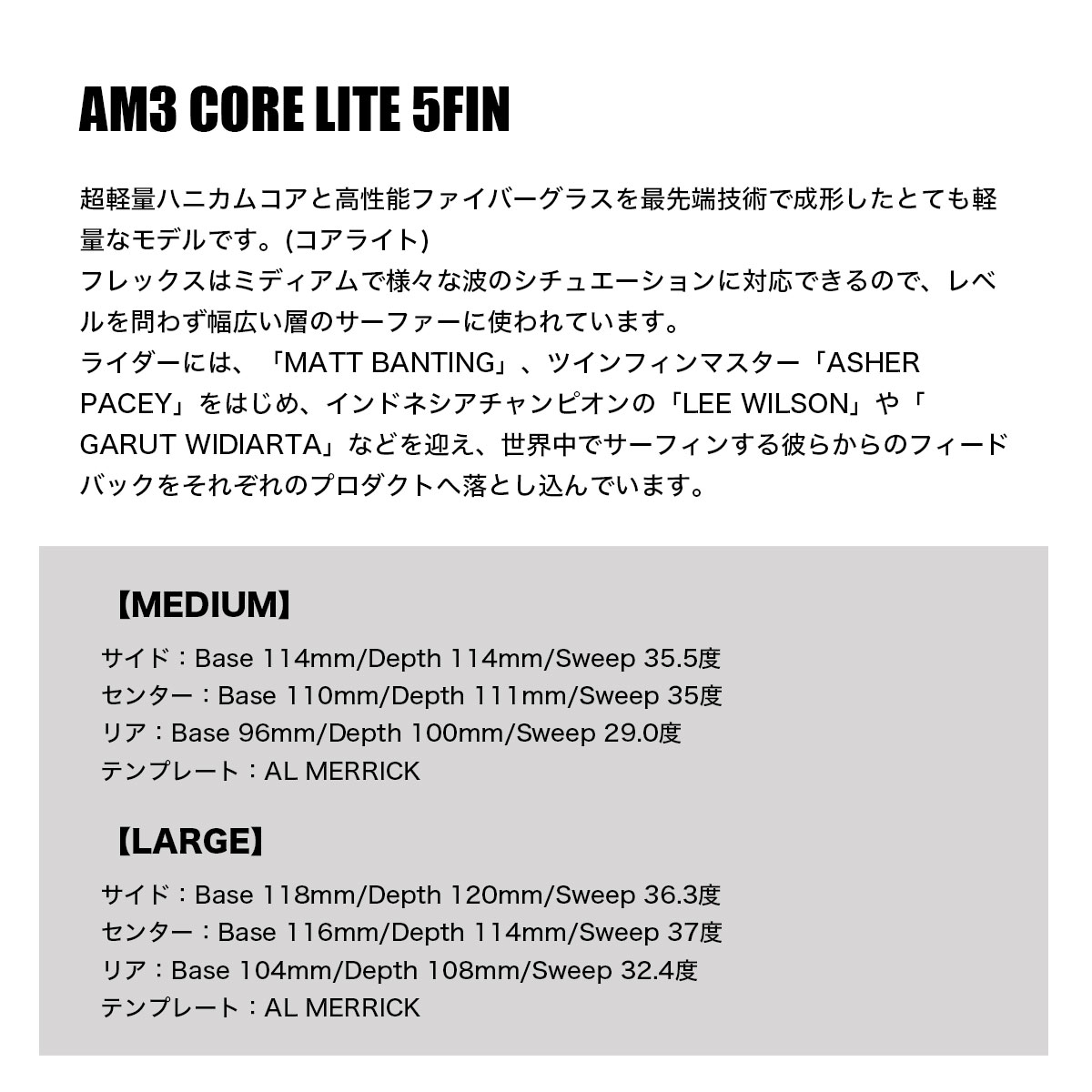 �����ե��� �����եܡ��� �ե��� �������ѡ��� ������å� �����饤�� 5FIN SET ��2�� AM3 CORE LITE 5FIN �͵��֥��� SHAPERS��168883�ۡ�168913��