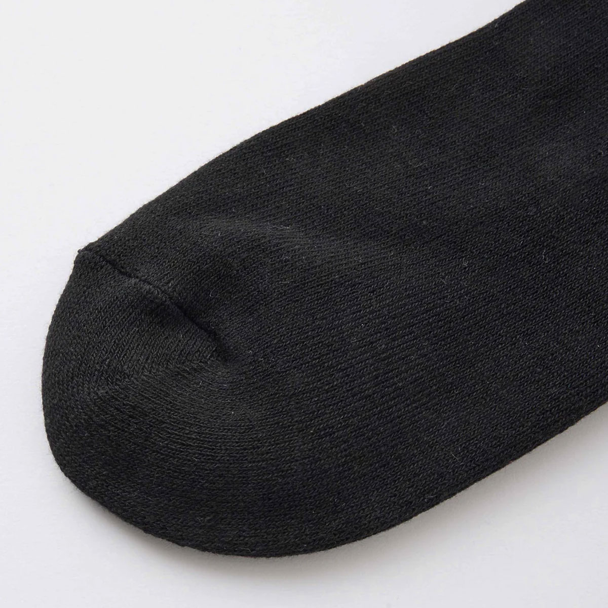 ���å��������� ��֥��å��� ���� ������� ��ʪ 22-24cm ���ȥ꡼�ȿ͵��֥��� X-GIRL ���� 2025 ���� | SIGN PAINTING LOGO RIB SOCKS��105254054004��