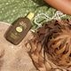 SUN BUM  | ORIGINAL SS LOTION 237ml��23-40050-RF��