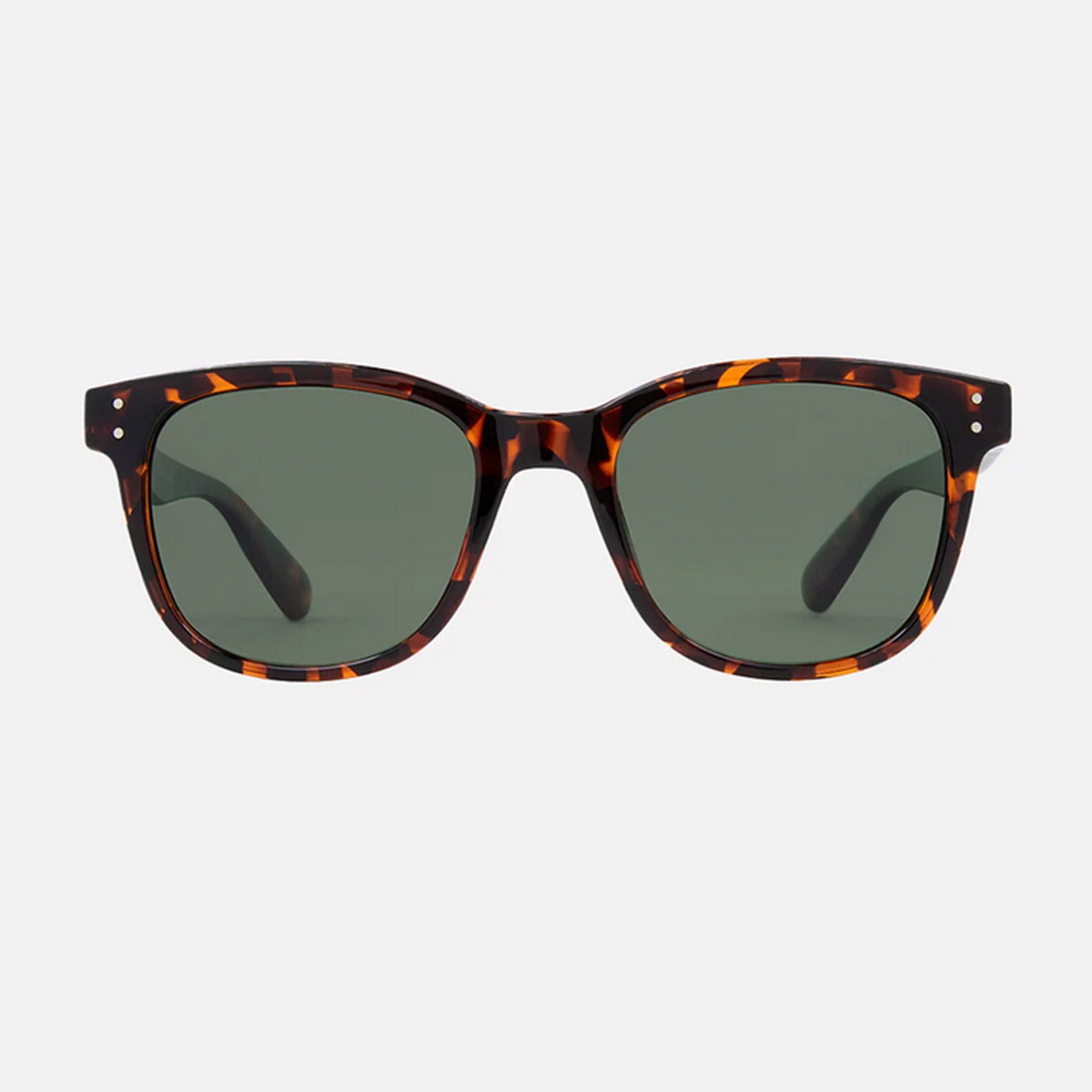 ������ �������� CARVE ���󥰥饹 �ۡ������ ��� ��ǥ����� ������� ��ʪ �����ե��� ���ȥ꡼�� �� �ס��� �͵��֥��� | HOMELAND��3450�ۡ�3453��