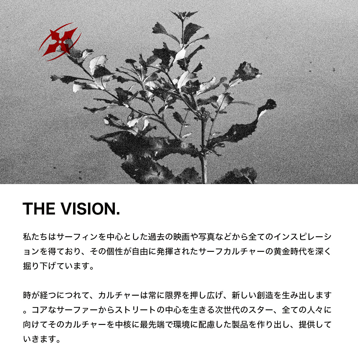  RITUAL VISION  | BLACKMARKET��4939-��